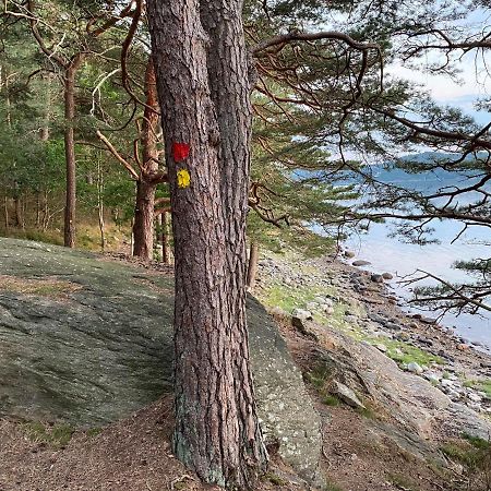 Cottage - Majviken Ljungskile Kültér fotó